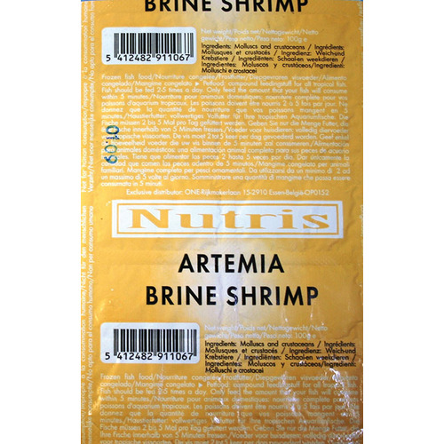 Artemia Brine Shrimp